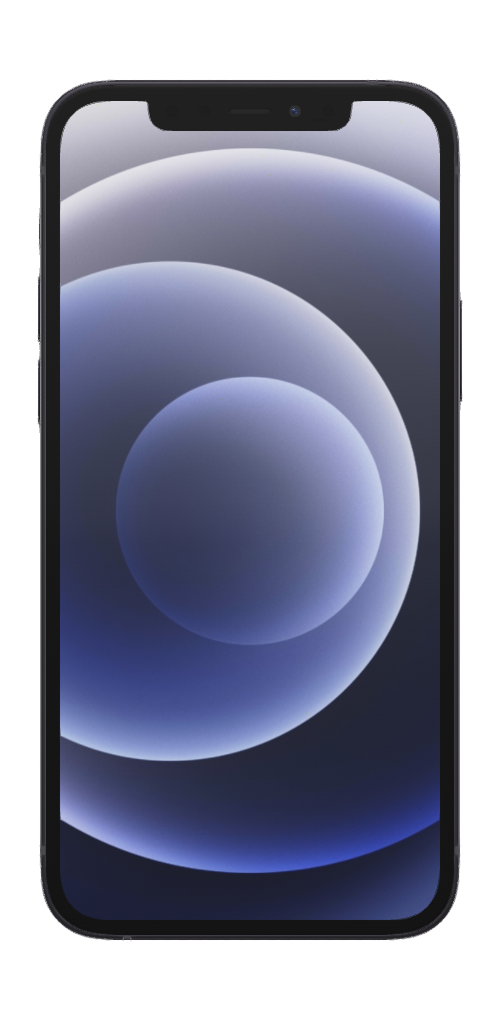 iPhone 12 Black